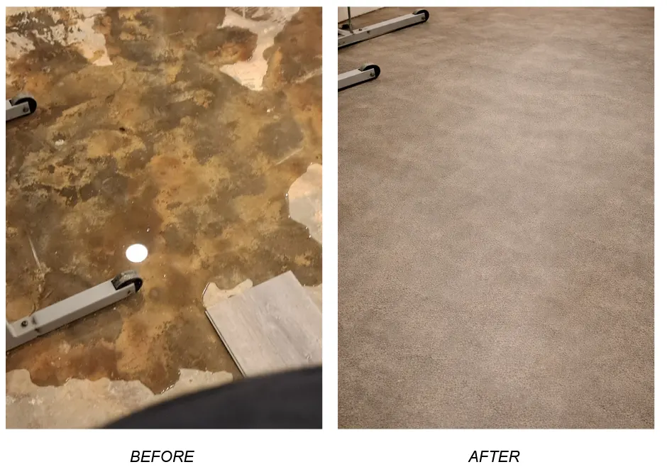 Basement Flood Cleanup Services Before and After in Long Island, NY