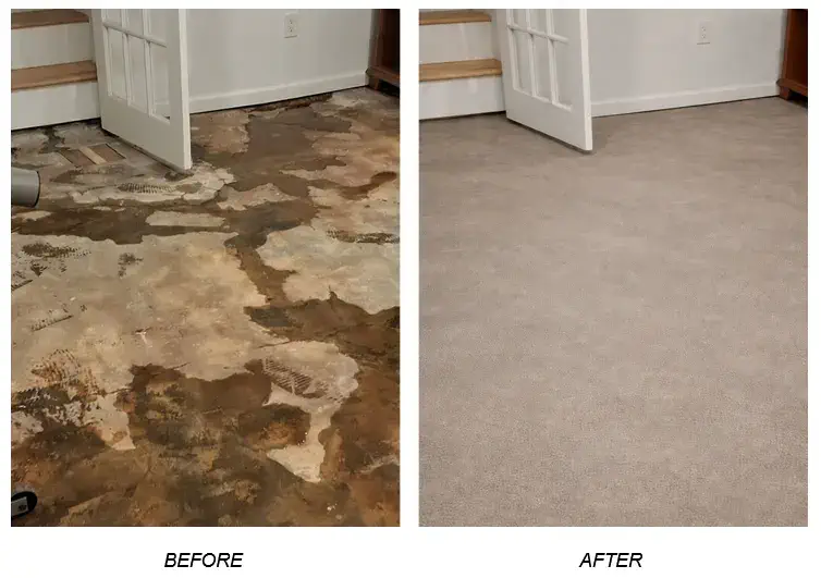  Basement Flood Cleanup Services Before and After in Suffolk, NY