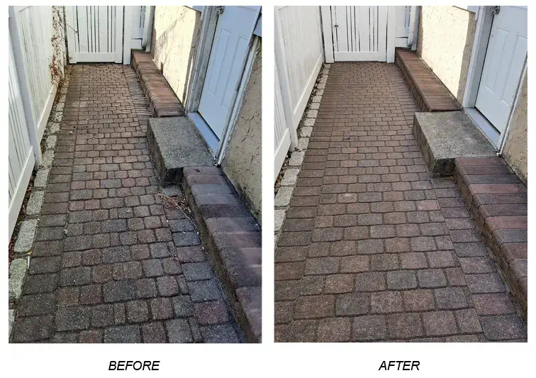 asement Flood Cleanup Services Before and After in Queens, NY