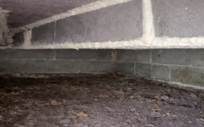 Case Study: Crawl Space Insulation for Bathroom Overhang in Smithtown, NY