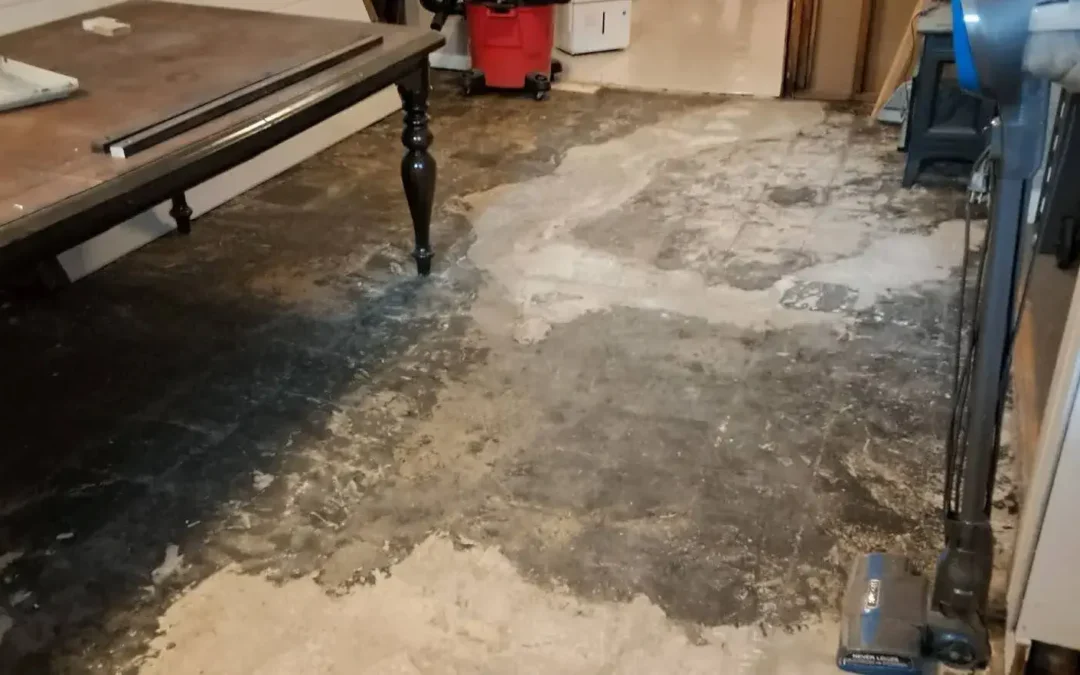 Basement Flood Cleanup Services Explained: What’s Included and What’s Not