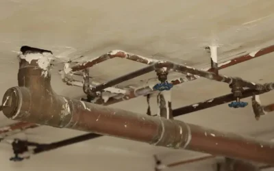 How Does a Basement Waterproofing Contractor Identify Water Intrusion Sources?