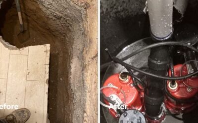 What Basement Waterproofing Companies Check to Prevent Future Water Damage?