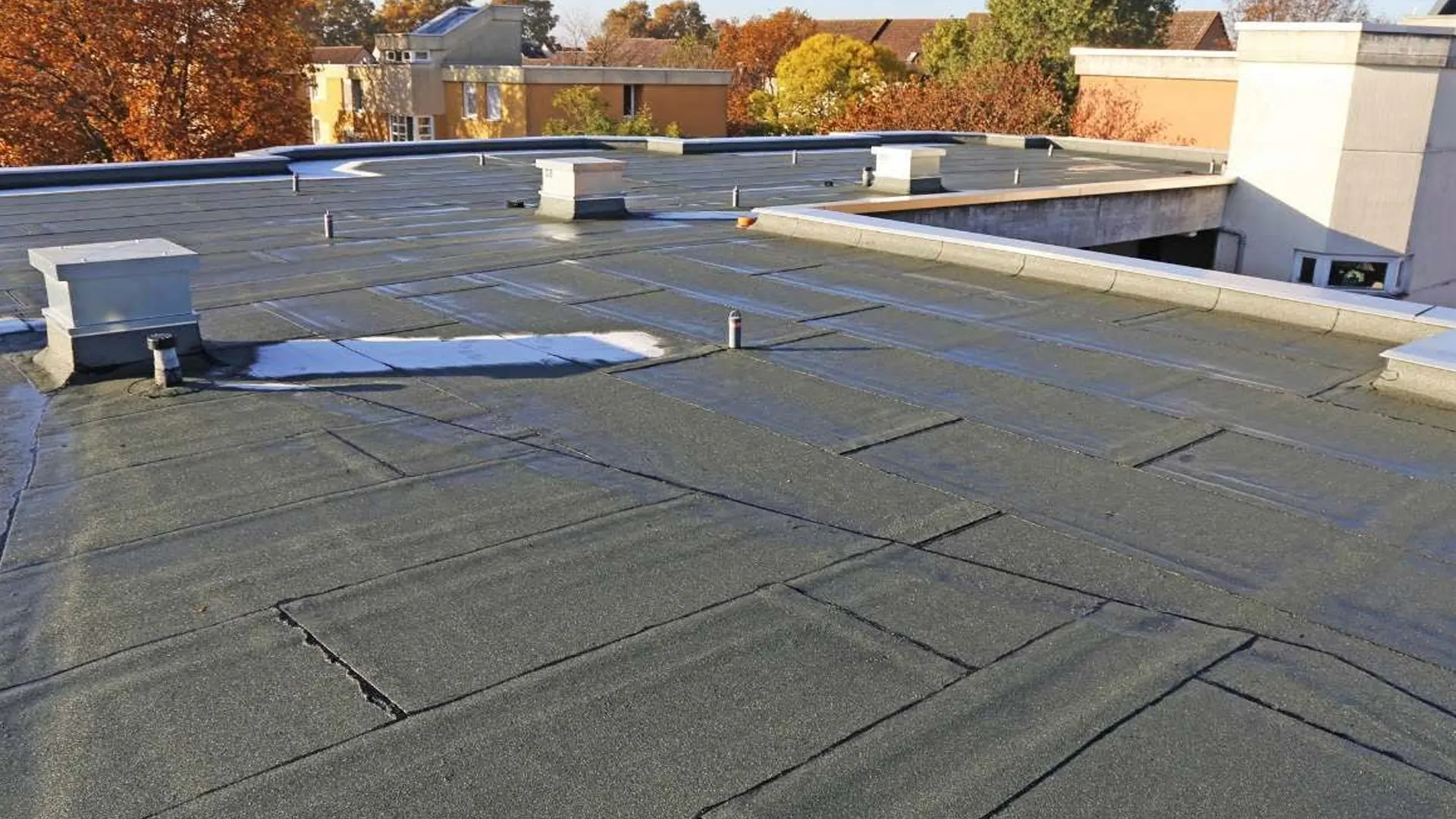 How Do Roof Waterproofing Services Work in High-Rainfall Areas? 