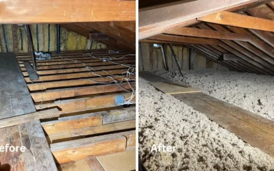 How Basement Waterproofing Companies Diagnose Recurring Basement Dampness?