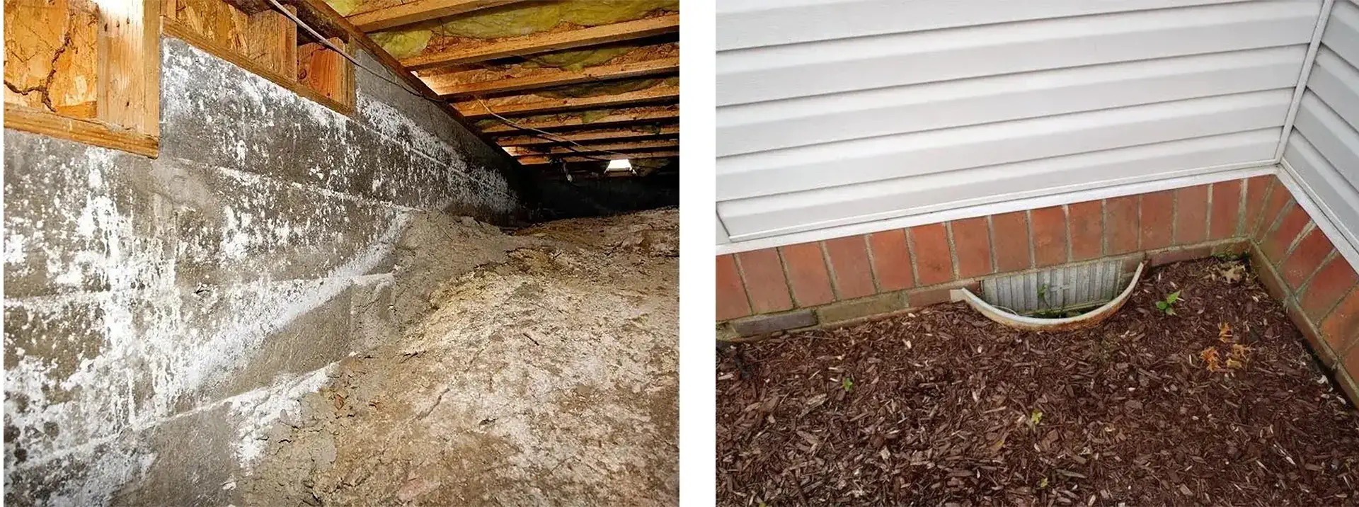 Crawl space issues and ventilation problems in Queens, NY