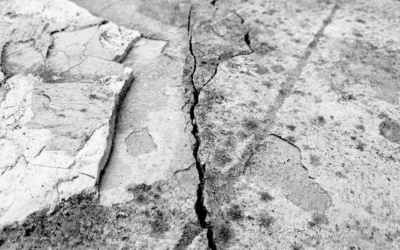 Which Waterproofing Services Are Best for Old Buildings With Cracks and Seepage?