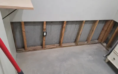 Case Study: Mold Remediation and Water Intrusion Investigation in Brentwood, NY