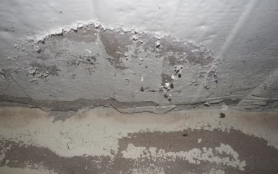 How to Fix Water Seepage in Basement Walls (Step-by-Step Guide)