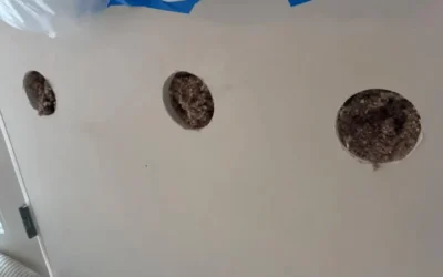 Case Study: Wall Insulation Upgrade in Brooklyn, NY