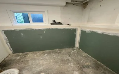 Case Study: Basement Waterproofing, Mold Remediation, and Structural Repairs in Huntington, NY