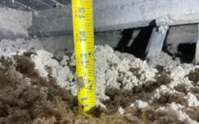 Case Study: Complete Home Insulation Upgrade in Brooklyn, NY