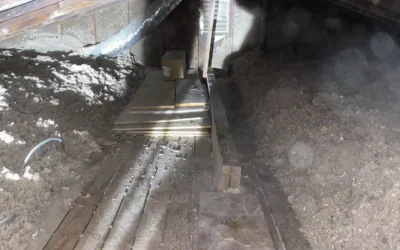 Case Study: Energy Efficient Insulation Upgrade in East Northport, NY