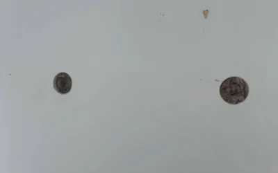 Case Study: Soundproofing and Ceiling Insulation in Queens, NY
