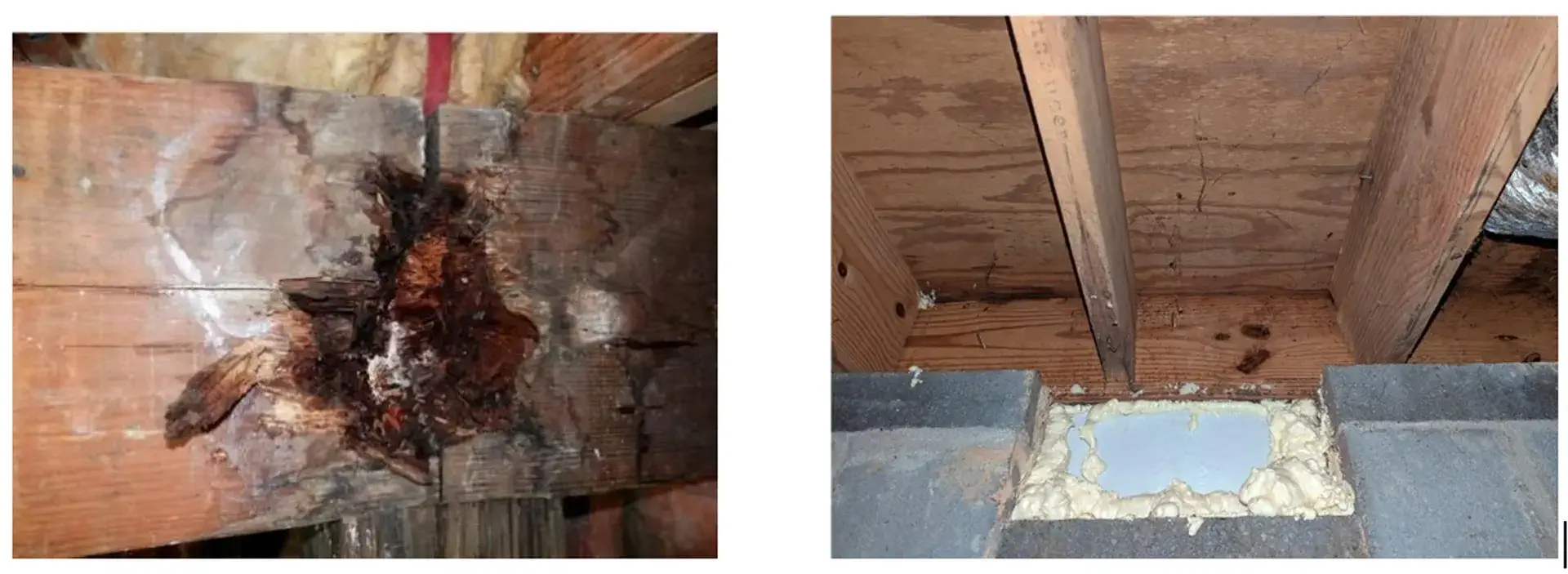Wood rot in pier and beam foundations 
