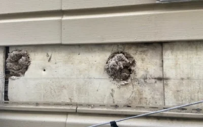 Case Study: Apartment Wall Insulation with Soundproofing in Ozone Park, NY