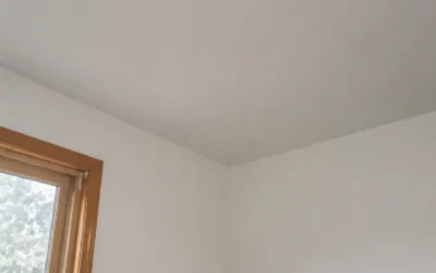 Case Study: Basement Leak and Ceiling Water Damage Repair in Brooklyn, NY