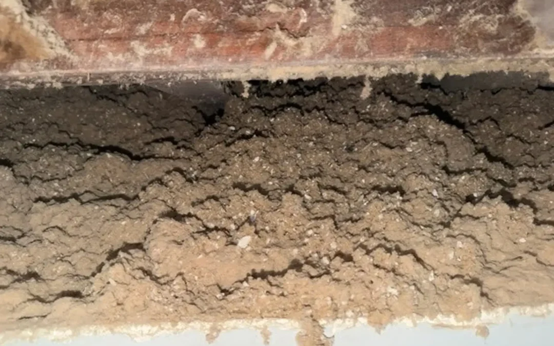 Case Study: Attic Insulation Upgrade in Bronx, NY