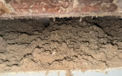 Case Study: Attic Insulation Upgrade in Bronx, NY