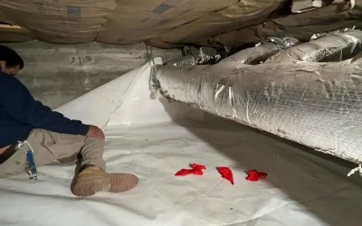 Case Study: Crawl Space Encapsulation and Insulation in Montauk, NY