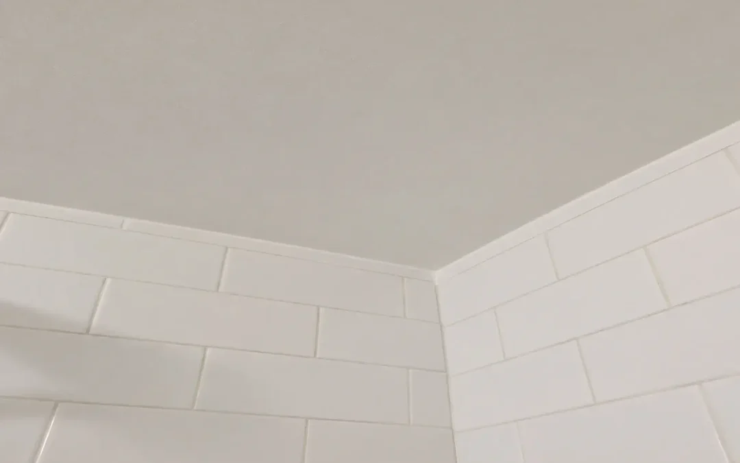 Case Study: Mold Remediation and Basement Restoration in Bethpage, NY