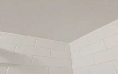 Case Study: Mold Remediation and Basement Restoration in Bethpage, NY