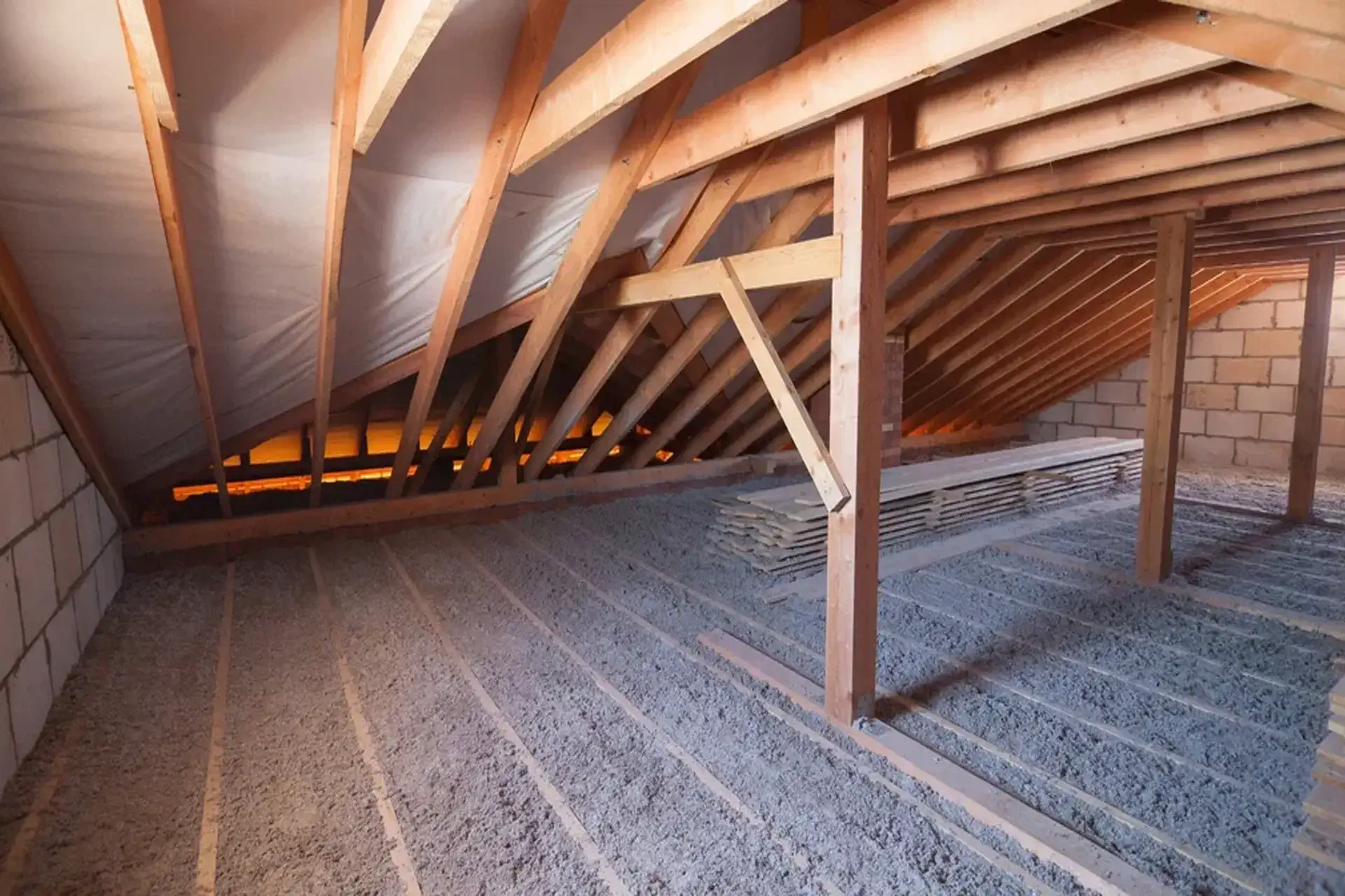 How Professionals Assess Your Attic