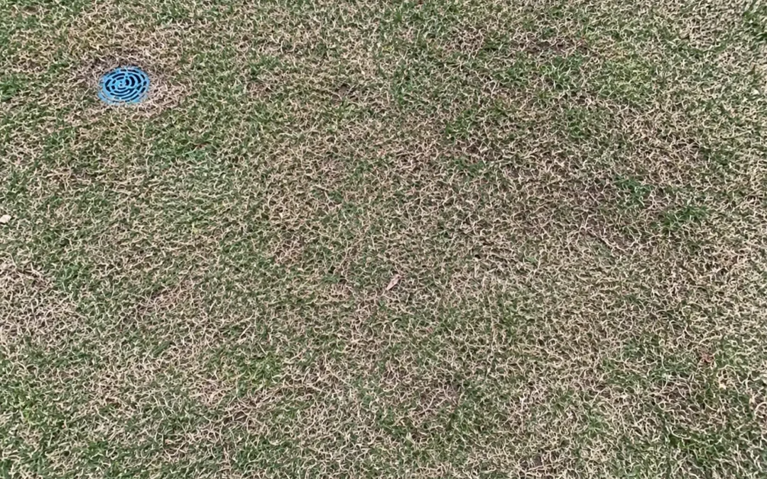 Case Study: Massapequa, NY Sinkhole Repair and Drywell Investigation