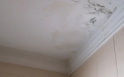 Why Buyers Walk Away After Seeing Water Stains: Understanding Buyer Psychology