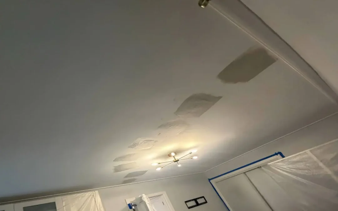 Case Study: Bedroom and Hallway Ceiling Insulation in Brooklyn, NY
