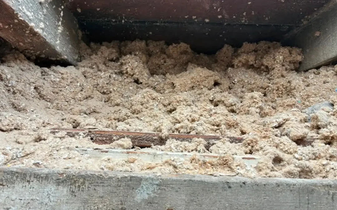 Case Study: Attic Insulation and Ice Buildup Investigation in Brooklyn, NY