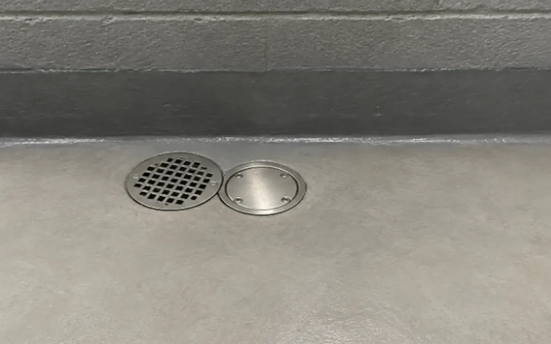 Case Study: Basement Waterproofing and Mold Remediation in Brooklyn, NY