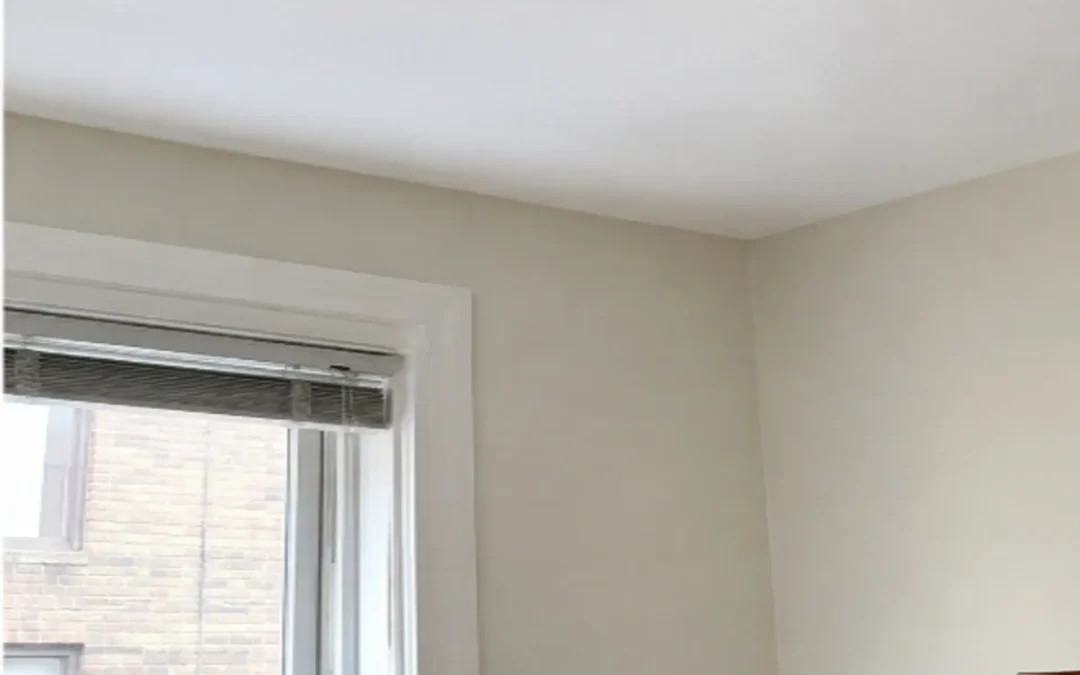 Case Study: Gutter and Roof-Line Water Intrusion Repair in Brooklyn, NY