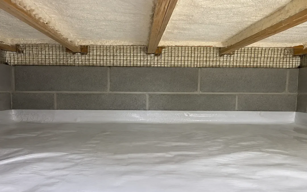 Case Study: Crawl Space Sealing and Rodent Prevention in Brooklyn, NY