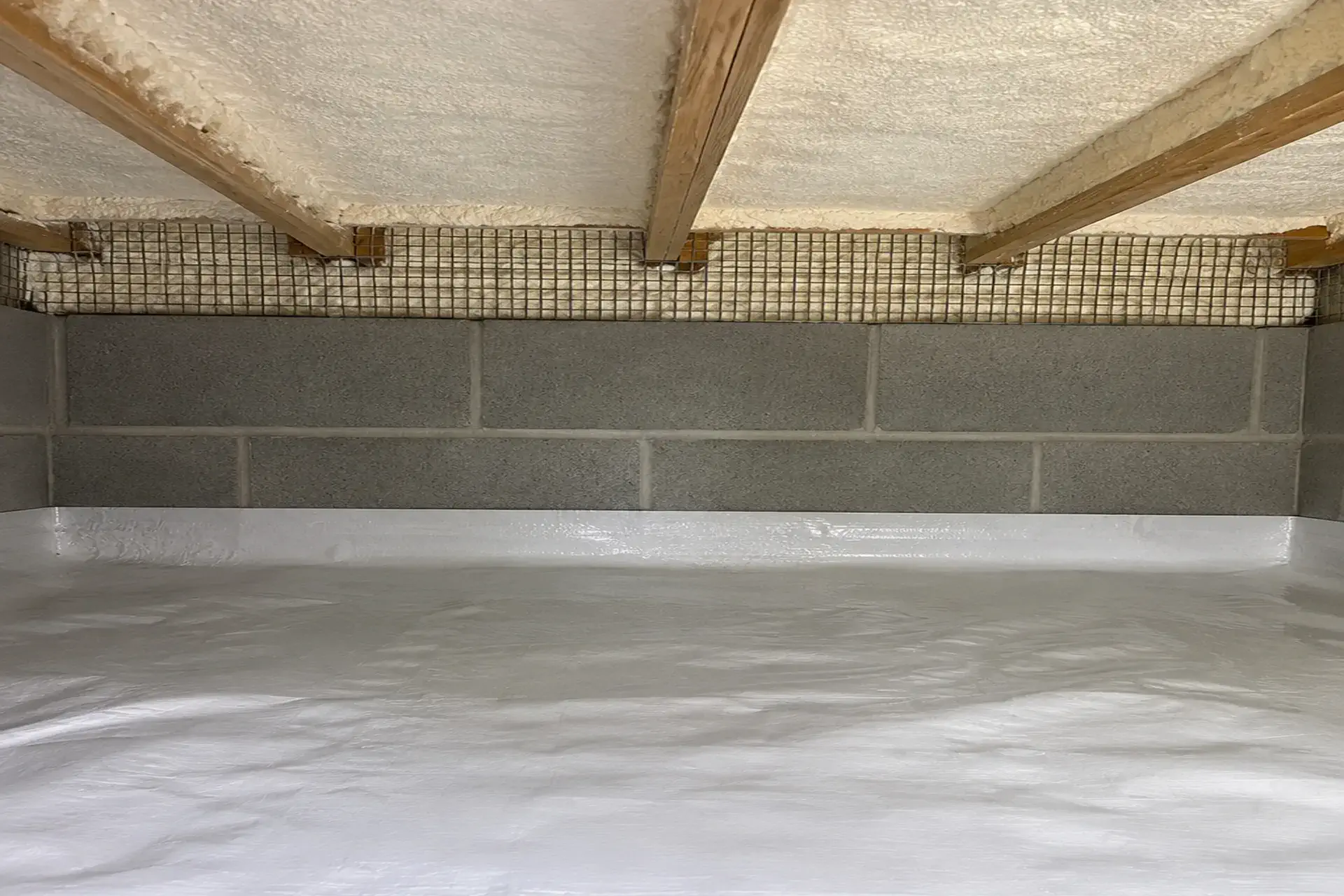crawl-space-sealing-rodent-prevention-brooklyn-ny-featured Crawl space sealing with rim joist air sealing and new insulation in Brooklyn NY