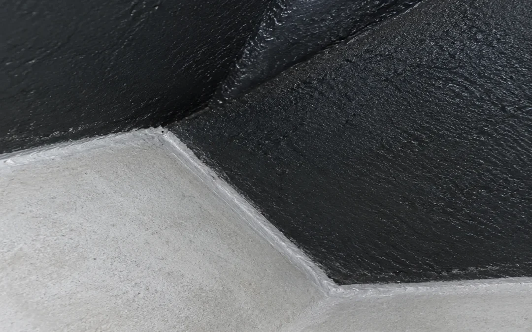 Case Study: Mold Remediation and Sewer Penetration Waterproofing in Wheatley Heights, NY