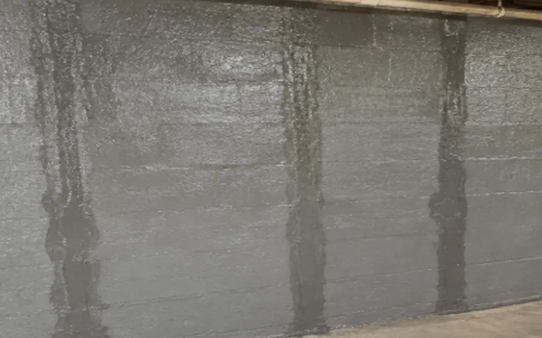 Case Study: Foundation Crack Repair in Sag Harbor, NY